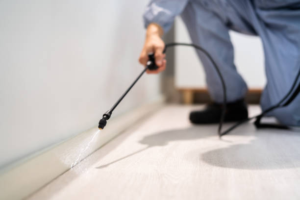 Licensed Fumigation Services service in Old Fig Garden, CA - Nex Pest Control