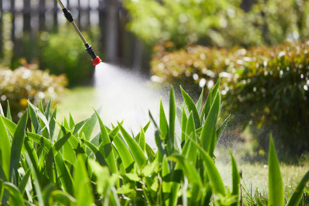 24/7 Emergency Fumigation Services experts in Old Fig Garden, CA