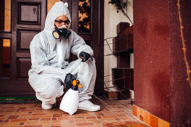 Reliable Fumigation Services contractor in Old Fig Garden, CA by Nex Pest Control