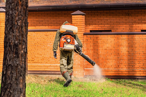 Trusted Cockroach Control service in Old Fig Garden, CA - Nex Pest Control